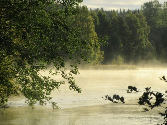 zobacz camping - zdjęcie 24