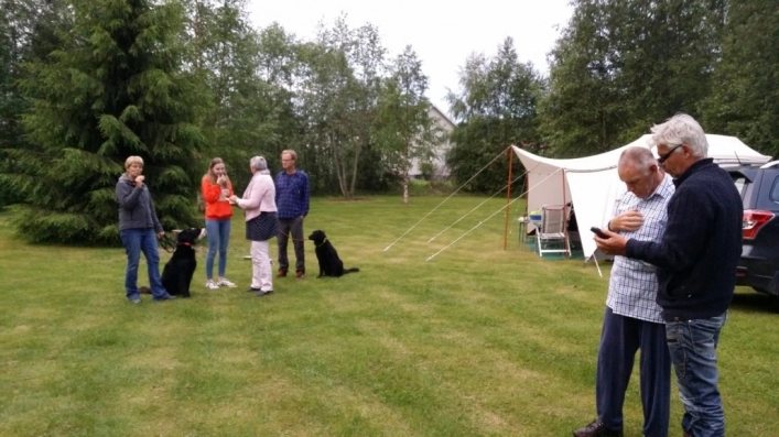 zobacz camping - zdjęcie 23