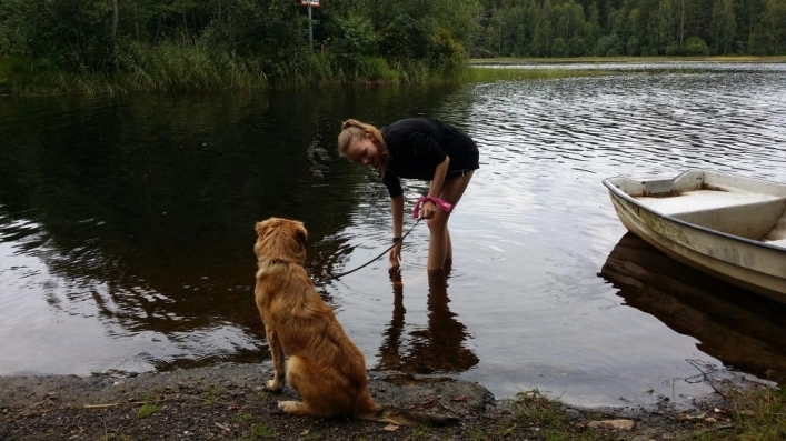 zobacz camping - zdjęcie 17