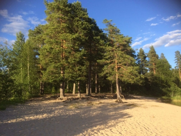 zobacz camping - zdjęcie 14