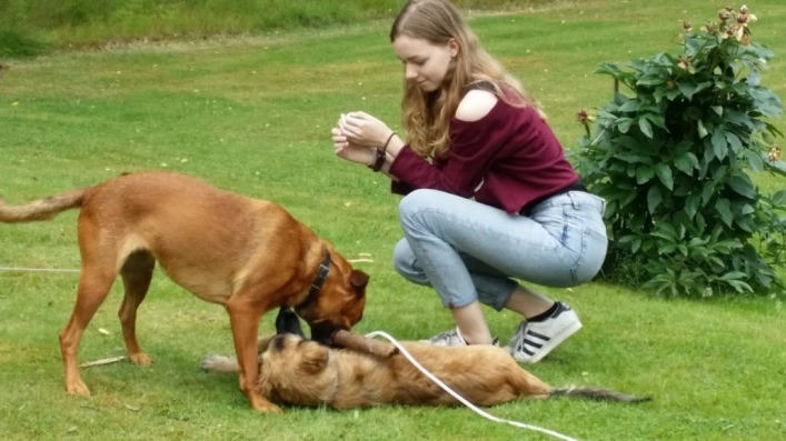 zobacz camping - zdjęcie 11