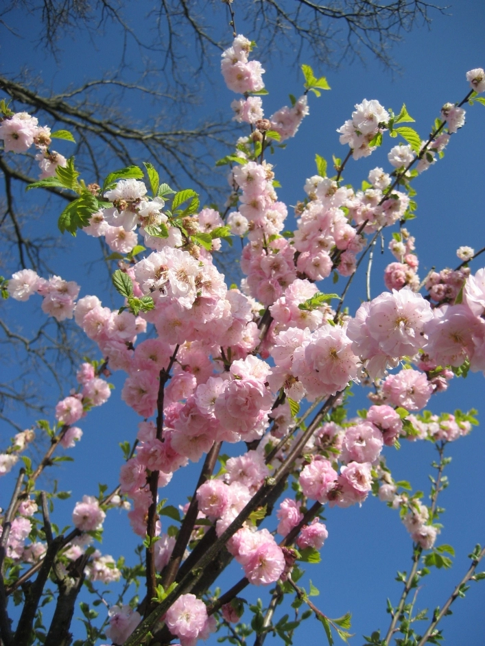 zobacz camping - zdjęcie 5