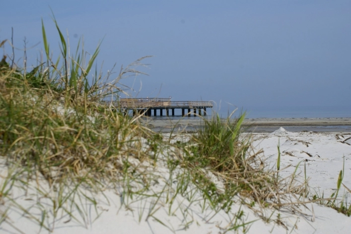 zobacz camping - zdjęcie 27