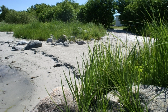 zobacz camping - zdjęcie 25