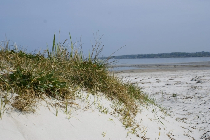 zobacz camping - zdjęcie 9