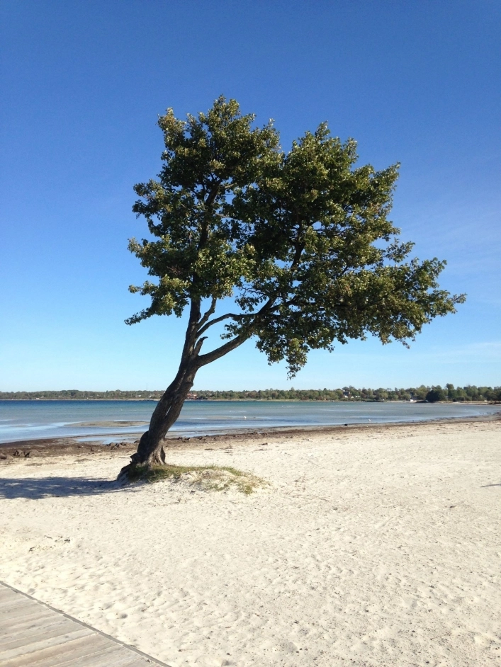 Köpingbaden - zdjęcie 2