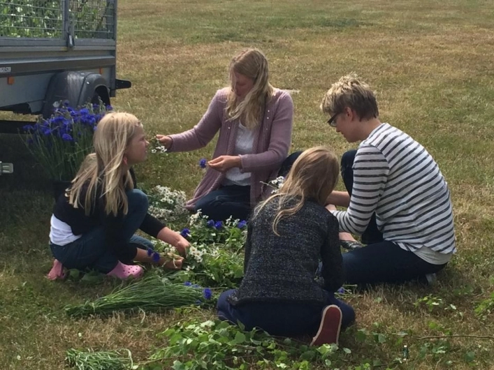 zobacz camping - zdjęcie 6