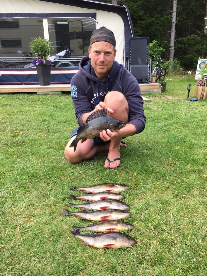 zobacz camping - zdjęcie 14