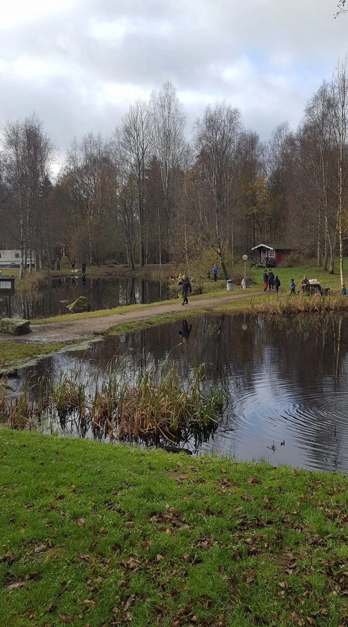 zobacz camping - zdjęcie 11