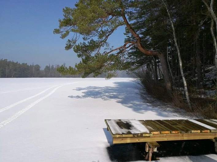 zobacz camping - zdjęcie 8