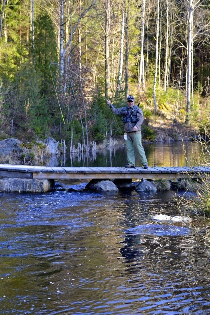 zobacz camping - zdjęcie 6