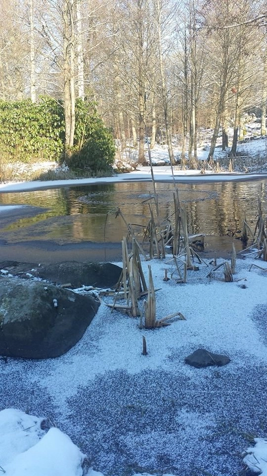 zobacz camping - zdjęcie 5