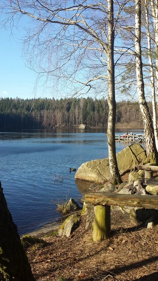 zobacz camping - zdjęcie 3