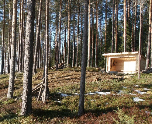 zobacz camping - zdjęcie 11