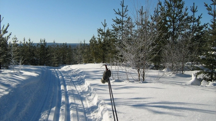 Kvarnsjö Camp o Vandrarhem, Kvarnsjö - zdjęcie 4