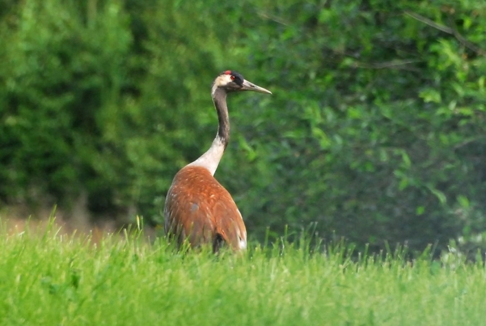 Kvarnsjö Camp o Vandrarhem, Kvarnsjö - zdjęcie 1