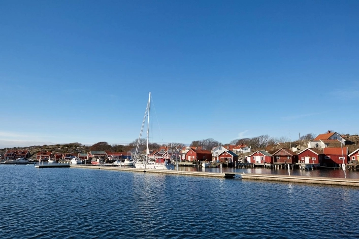 zobacz camping - zdjęcie 9