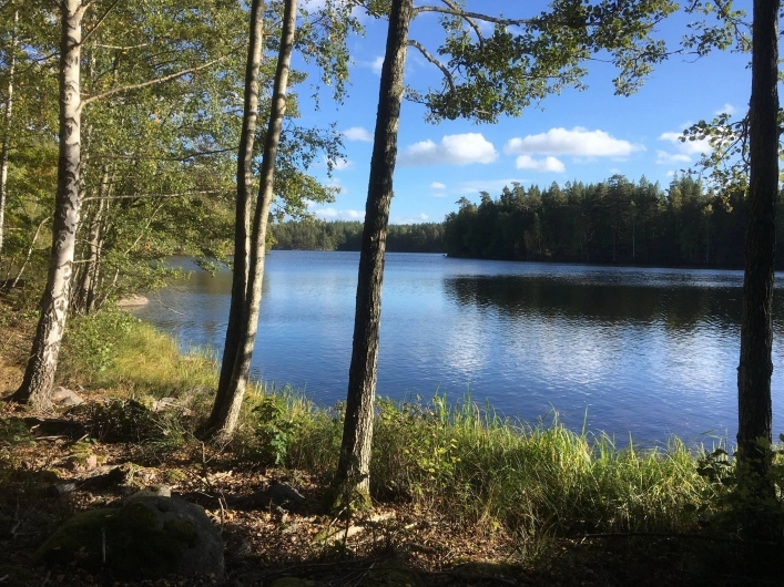 zobacz camping - zdjęcie 9