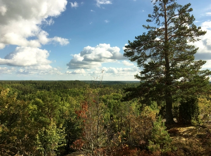 zobacz camping - zdjęcie 6