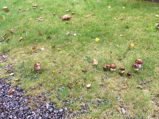 zobacz camping - zdjęcie 3