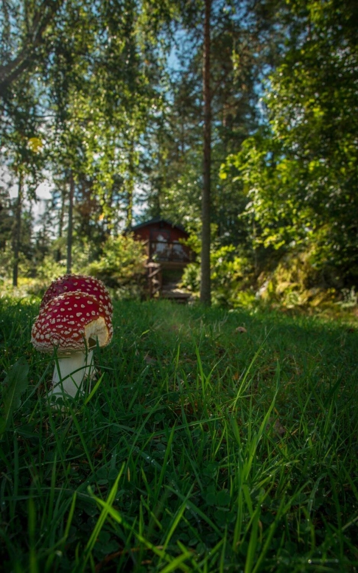 Långsjön Stugor & Camping AB - zdjęcie 1