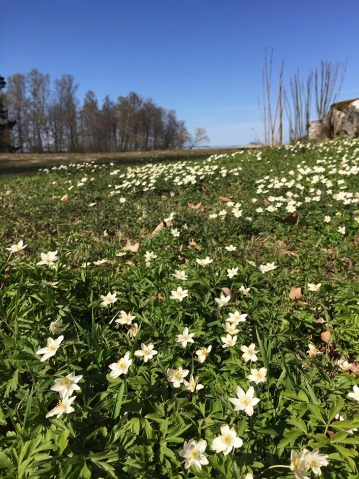 zobacz camping - zdjęcie 6