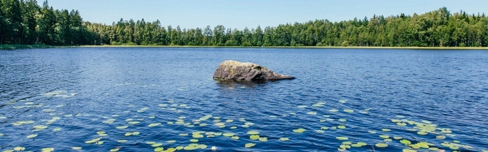 zobacz camping - zdjęcie 6