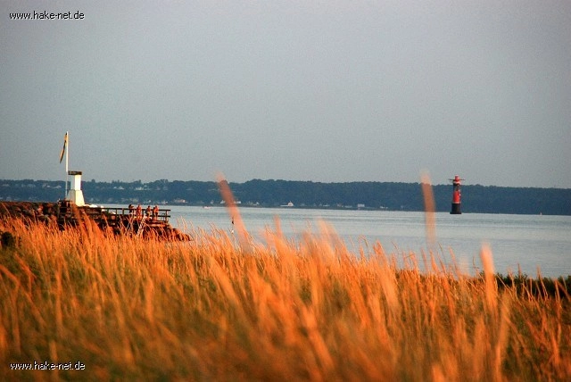 zobacz camping - zdjęcie 5