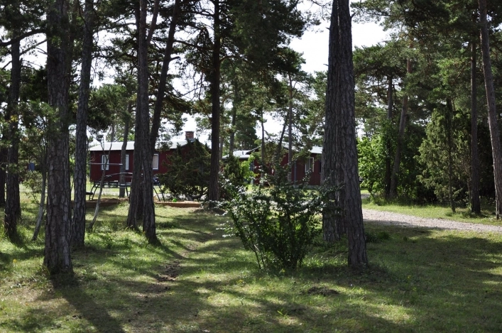 zobacz camping - zdjęcie 6