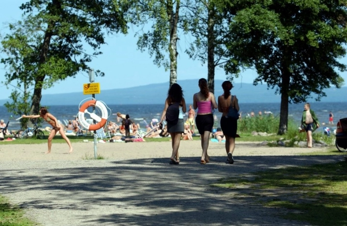 zobacz camping - zdjęcie 11