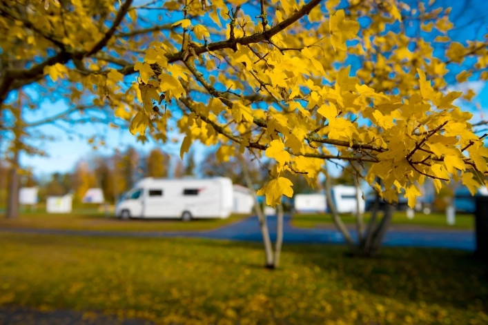 Lidköping Swecamp Kronocamping - zdjęcie 1