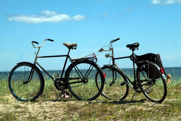 zobacz camping - zdjęcie 15