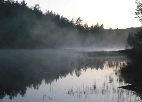 zobacz camping - zdjęcie 17
