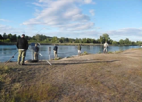 zobacz camping - zdjęcie 13