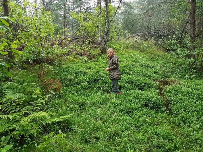 zobacz camping - zdjęcie 23