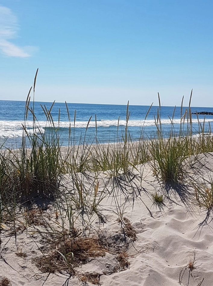 zobacz camping - zdjęcie 16