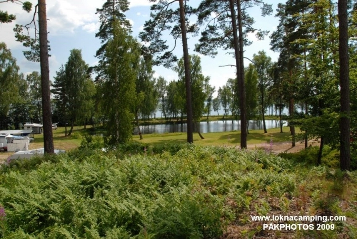 zobacz camping - zdjęcie 9