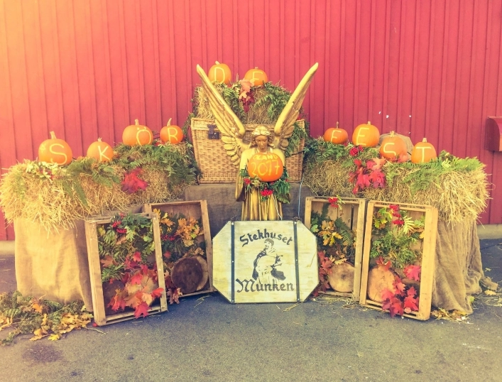 zobacz camping - zdjęcie 8