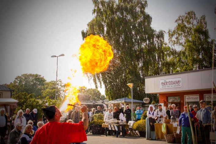 zobacz camping - zdjęcie 4