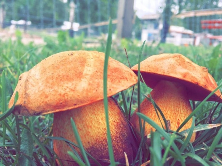 Löttorps Camping - zdjęcie 2