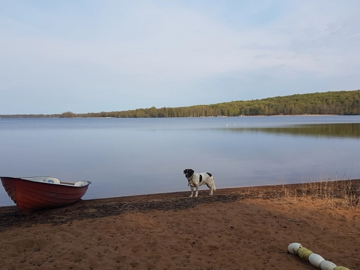 zobacz camping - zdjęcie 20
