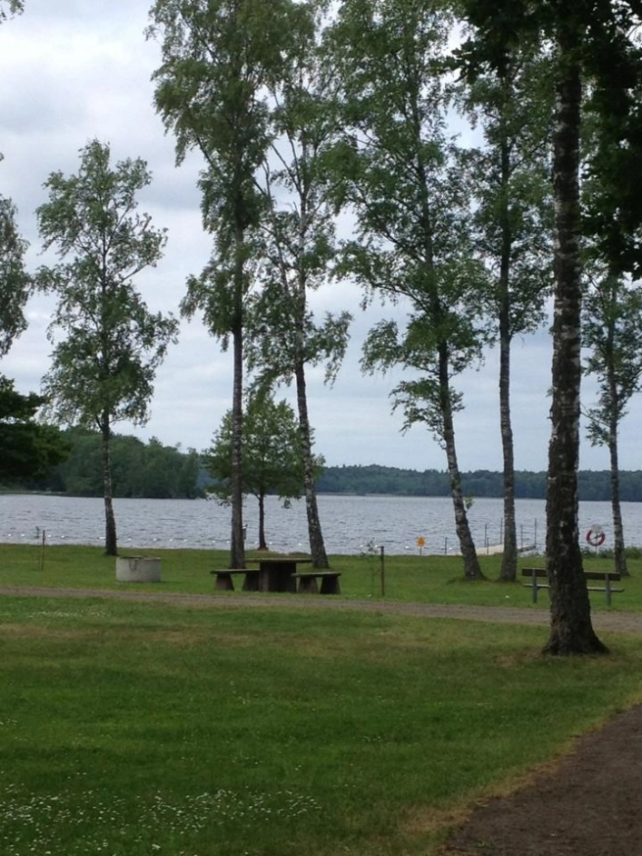 zobacz camping - zdjęcie 14