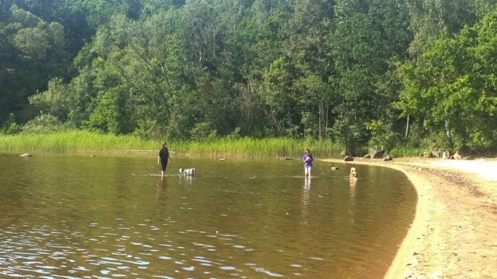 zobacz camping - zdjęcie 29