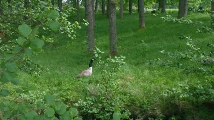 zobacz camping - zdjęcie 21