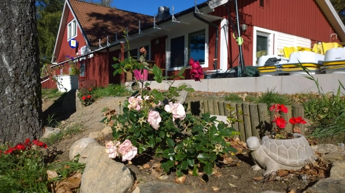 zobacz camping - zdjęcie 9