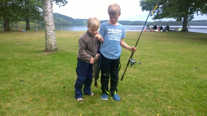 Lygnareds Camping - zdjęcie 3