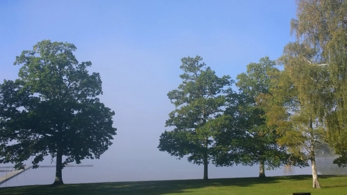 Lygnareds Camping - zdjęcie 2