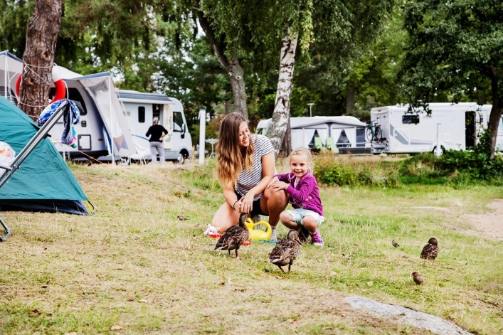 zobacz camping - zdjęcie 16