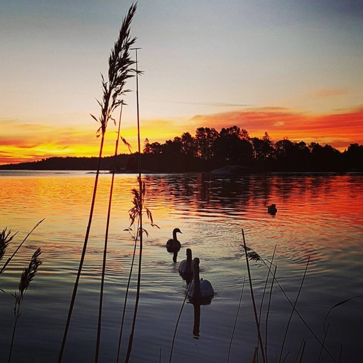 zobacz camping - zdjęcie 13