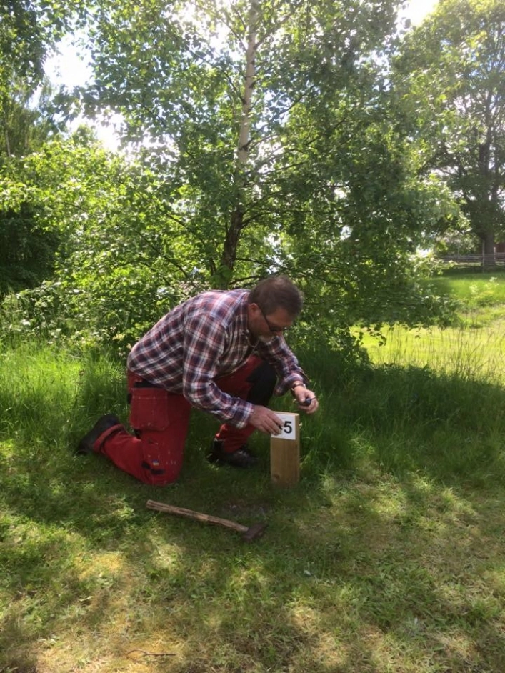 zobacz camping - zdjęcie 16